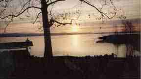 Cottonwood Cove